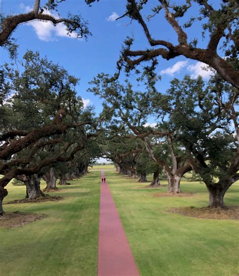 CT Integrated Pain Consultants, LLC