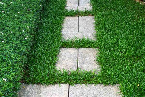 As it turns out, there are quite a few different types of grass blanketing the lawns of today's homes, each if you opt for warm season grasses in a cooler climate (or vice versa) you're almost certainly going to run into some trouble keeping your lawn looking healthy. The Best Grass Types for South Florida Lawns | Best Pick Reports