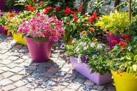 4 Diy Container Garden Ideas For Spring Mesa Awning