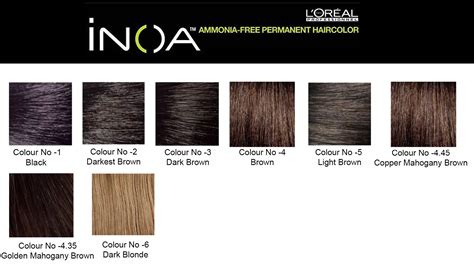 Loreal Inoa Hair Color No 3 | Colorpaints.co