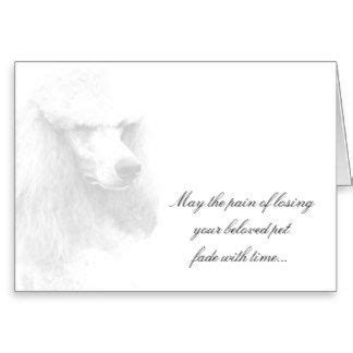 Don't you wish that your dog could stay a cute little puppy forever? Poodle Gifts | Pet sympathy cards, Pet sympathy, Poodle
