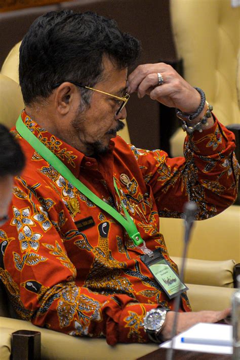 • ingin atasi diare secara cepat? Khasiat Sebenarnya Minyak Atsiri Eukaliptus yang Digunakan ...
