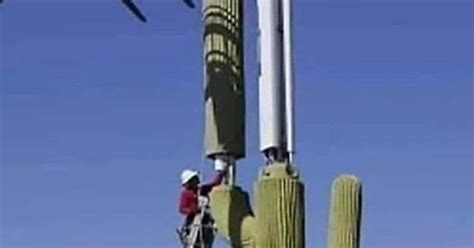 Where Cell Towers Are Hidden Album On Imgur