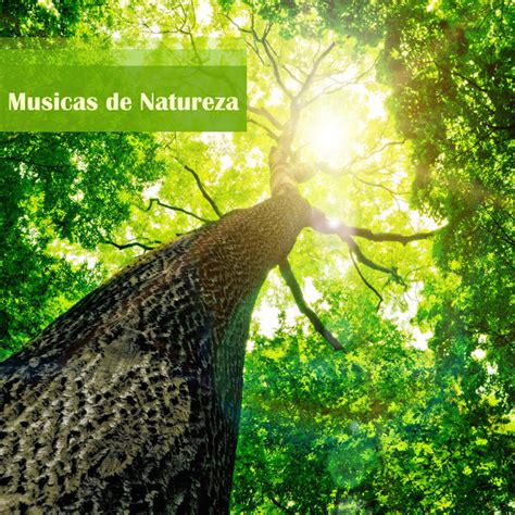 Em seguida, escolha a partir de uma lista de 6 de natureza diferente qualidade boa sons relaxantes que incluem trovão, mar, mar, pássaros, chuva, noite na selva, pássaros, água. Musicas da Natureza - Musicas Relaxantes para Dormir com ...