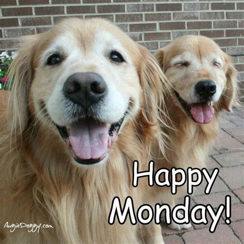 Happy Monday Pictures, Photos, and Images for Facebook, Tumblr