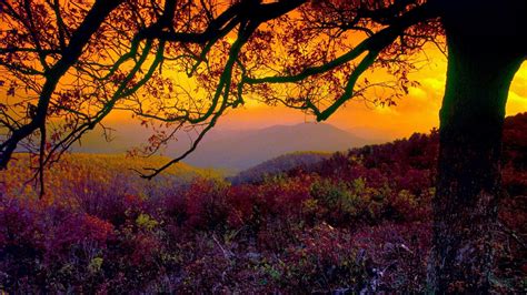 Shenandoah National Park Wallpapers Wallpaper Cave