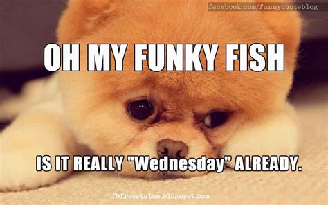 It's Wednesday, Funny & Happy Wednesday Meme with Wednesday Quotes | Wednesday memes, Funny 