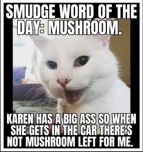 Pin By Lynetta Nausbaum On Humor Woman Yelling At Cat Karen And Smudge