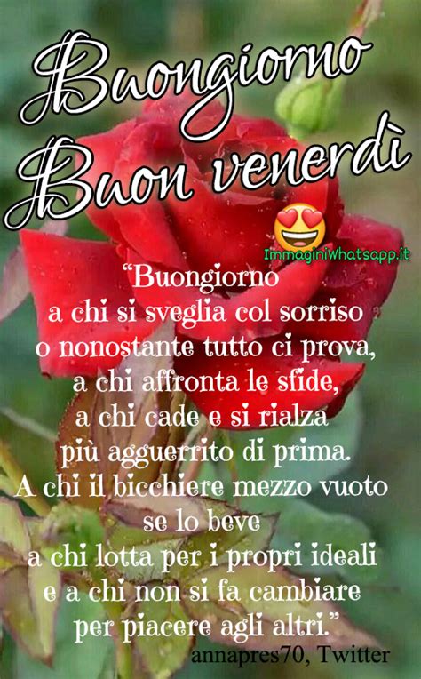Frasi divertenti di buon giorno, buon pomeriggio e buona notte. Buon venerdì: le 145 immagini più belle e frasi divertenti ...