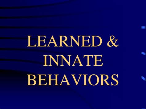 Learn the definition of 'learned behavior'. PPT - LEARNED & INNATE BEHAVIORS PowerPoint Presentation ...
