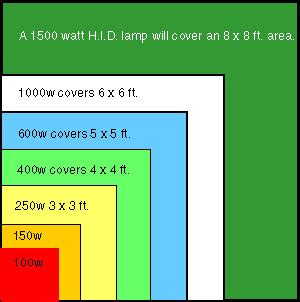 You can use this calculation to determine how much light per square finding the lumens is easy. How Much Grow Lights Do Your Plants Need? | GrowAce