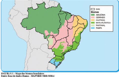 Mapa Dos Biomas Brasileiros