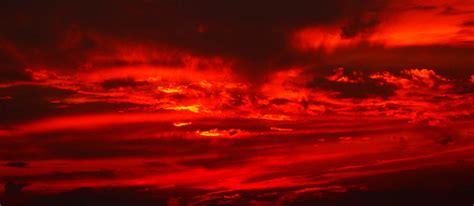 Action, horror, thriller | 2021 (usa). Blood Red Sky | Father Rejoice