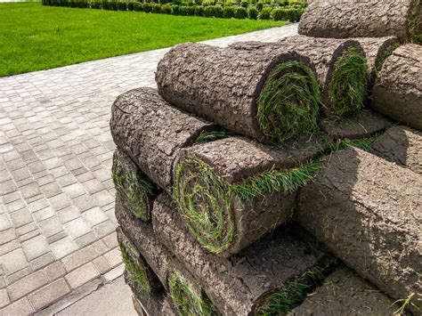 Where To Buy Sod Near Me 10 Recommendations