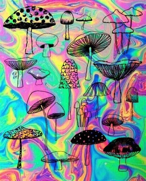 Trippy Mushrooms Trippy Art Mushroom Art Psychedelic Shrooms Edit By