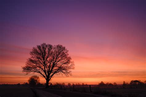 Baum Bei Sonnenaufgang Foto And Bild Landschaft Jahreszeiten Winter