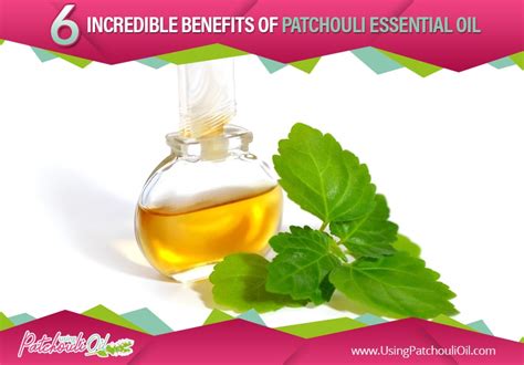 Using Patchouli Oil 6 Incredible Benefits Of Patchouli Essential Oil