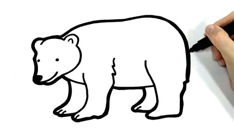 Como Dibujar Un Oso Polar Dibujar Un Oso Polar Fácil Youtube