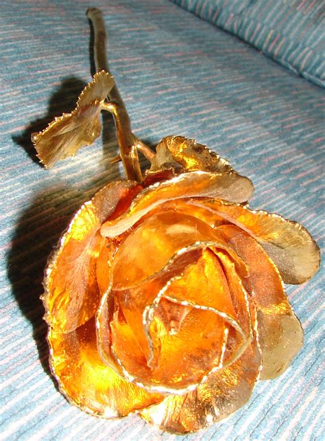 Maybe you would like to learn more about one of these? Gold Dipped Rose Flower 1 by FantasyStock on DeviantArt
