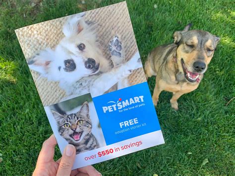 How To Get Coupons: Your Ultimate Guide - The Krazy Coupon Lady