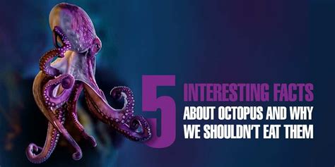 5 Interesting Facts About Octopus And Why We Shouldnt Eat Them