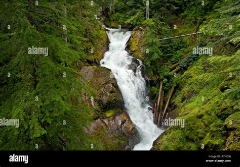 Wa15492 00washington Deer Creek Falls In Mount Rainier National