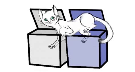 Famous Physics Cat Now Alive Dead And In Two Boxes At Once Science