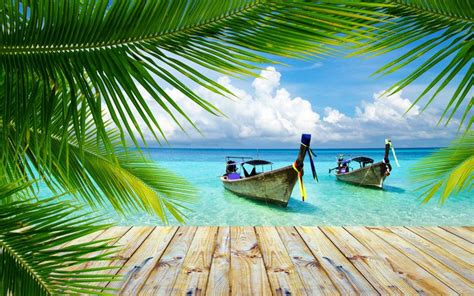Free Download Nature Landscape Beach Tropical Palm Trees Walkway Boat