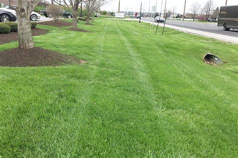 Lawn Care Indianapolis In Green And Groom Landscape And Lawncare