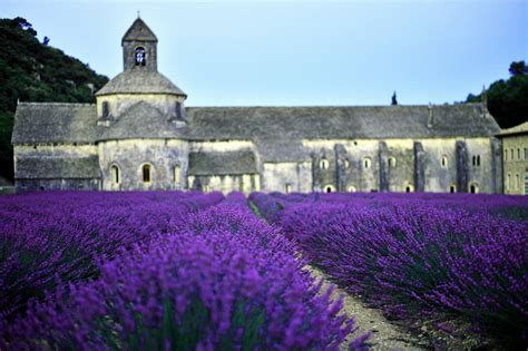 The Field Lavender Church France Hd Wallpaper