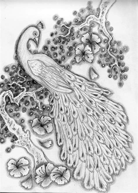 Shop by color, room type, theme or style. Gallery For > Pencil Drawing Pictures Of Peacock | Peacock ...