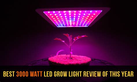 Best 3000 Watt Led Grow Light Review Top 10 Picks Of 2024