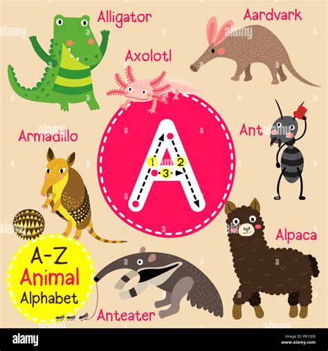 Animal Alphabet Letters Cute Vector Zoo Alphabet Funn - vrogue.co