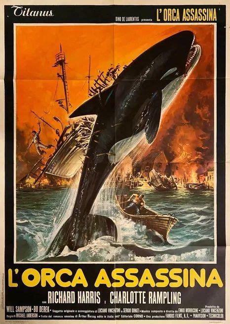 L’orca Assassina Spietati Recensioni E Novità Sui Film