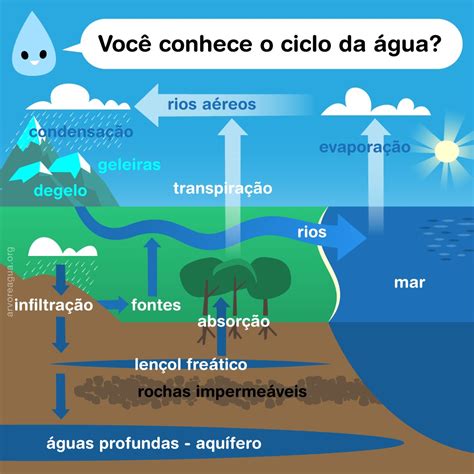 Ciclo Da água Arvoreagua