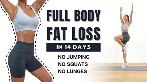 Full Body Fat Loss In Days Min Non Stop Standing Workout No