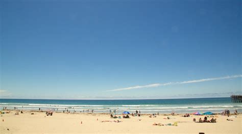 Visit Pacific Beach Best Of Pacific Beach San Diego Travel 2023
