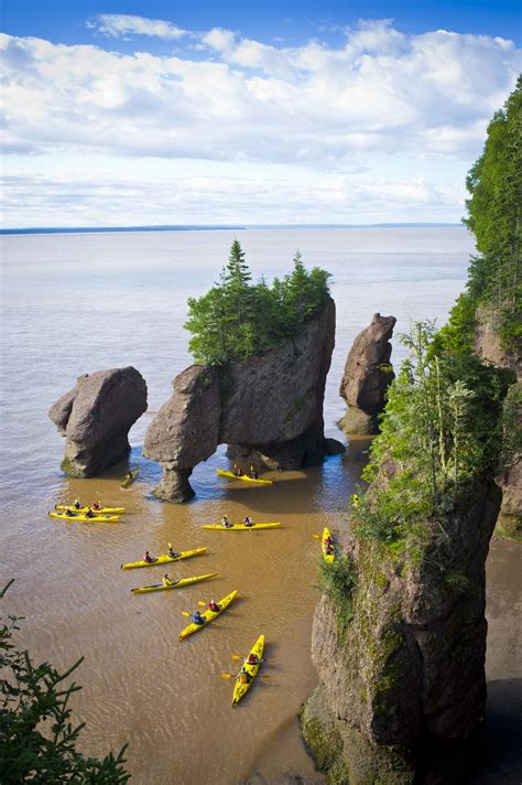 Join A Guided Kayaking Tour In The Bay Of Fundy To Experience The