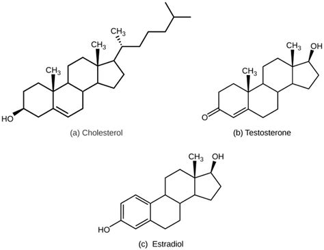 371b Lipid Derived Amino Acid Derived And Peptide Hormones