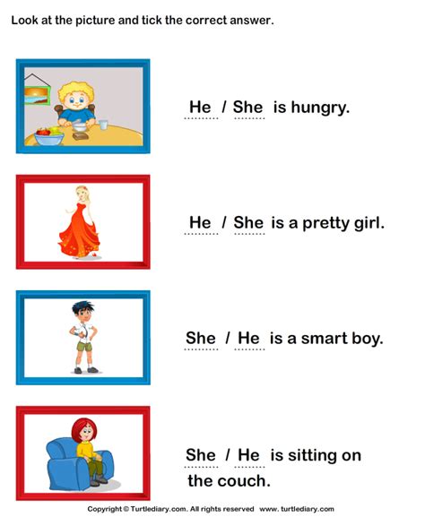 Choose Between She And He Kindergarten Reading