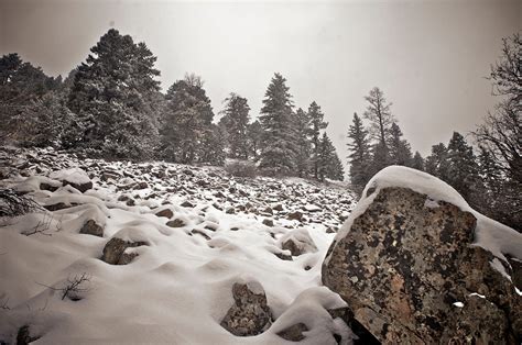 Free Images Tree Nature Forest Rock Wilderness Mountain Snow