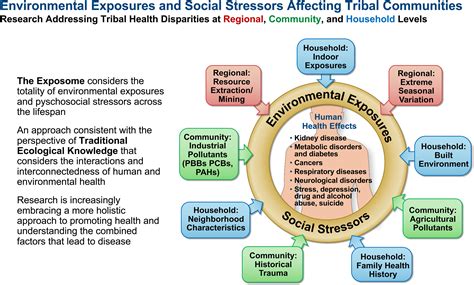 Native American Perspectives On Health And Traditional Ecological