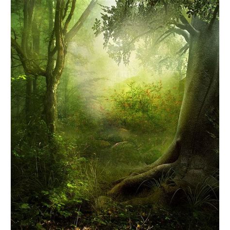 50 Amazing Jungle Forest And Rainforest Artworks Forcg Liked On