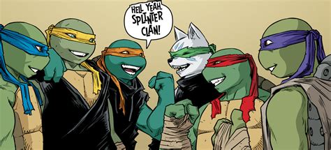 A New Member Joins The Teenage Mutant Ninja Turtles The Cultured Nerd