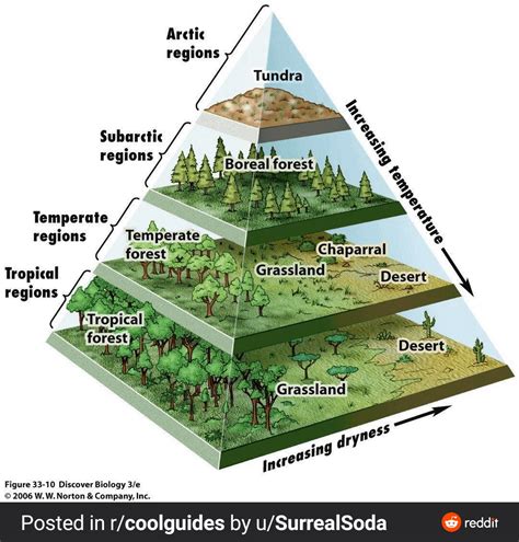 Earths Different Biomes Infographics
