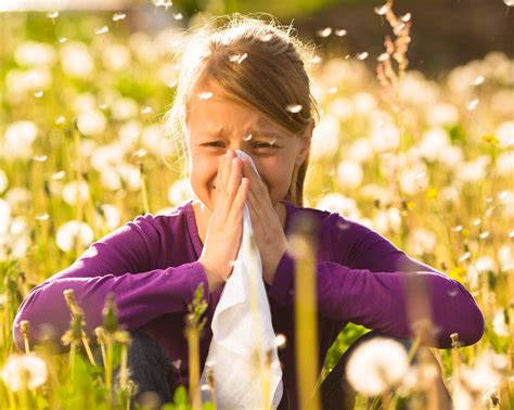 Antronex Allergens For Seasonal Allergies Legacy Clinic