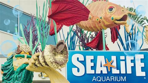 The sea life ranger packets are so cheap (around $3 usd) and come with a lanyard, trading cards, pencil and information packet to be included through the visit. Sea Life Aquarium at Legoland - YouTube