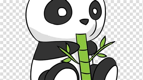 Giant Panda Drawing Cuteness How To Draw Cute Red Panda Transparent Background Png Clipart