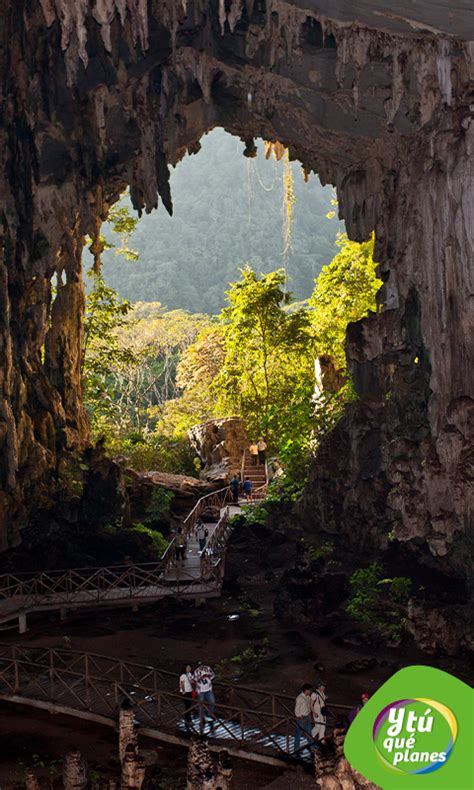 Cueva de las lechuzas en el Parque Nacional Tingo María Fondo de