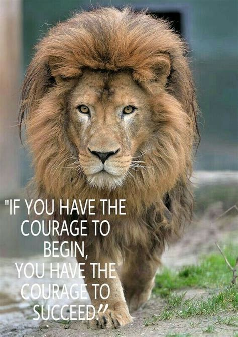 Courage Is The Key Lion Quotes Lion Love Lion
